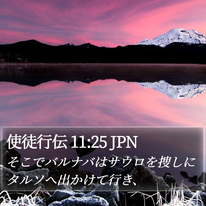 使徒行伝 11:25 JPN Bible Study