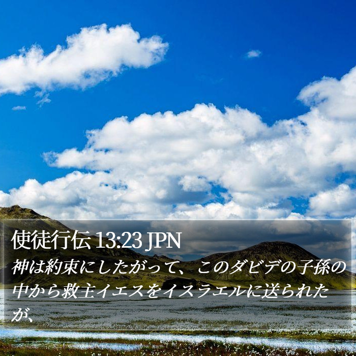 使徒行伝 13:23 JPN Bible Study