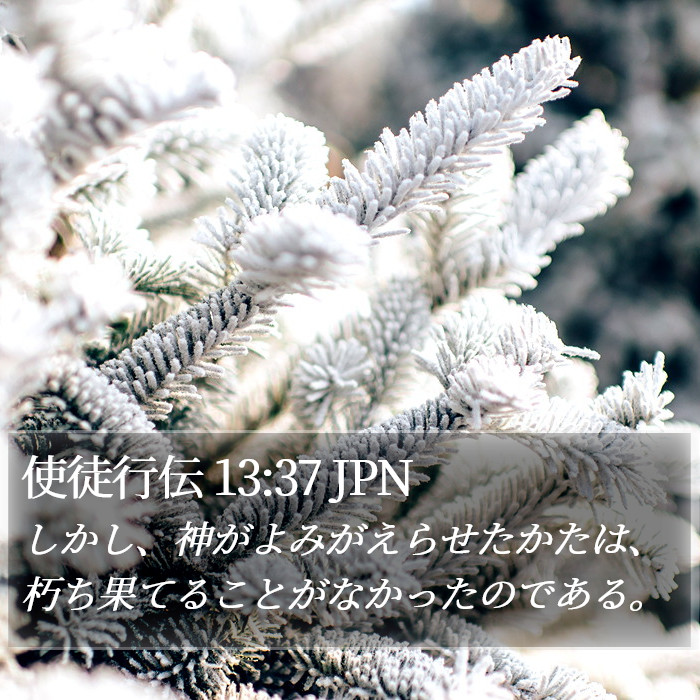 使徒行伝 13:37 JPN Bible Study