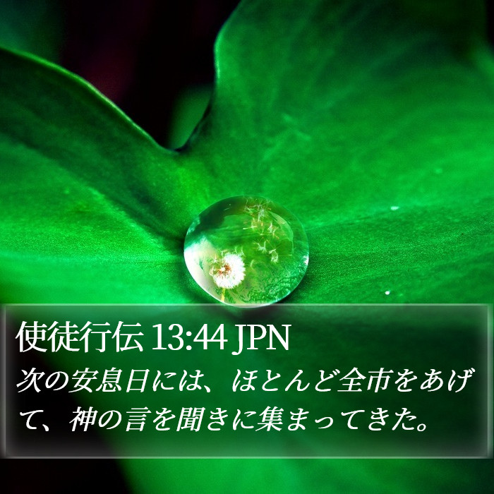 使徒行伝 13:44 JPN Bible Study