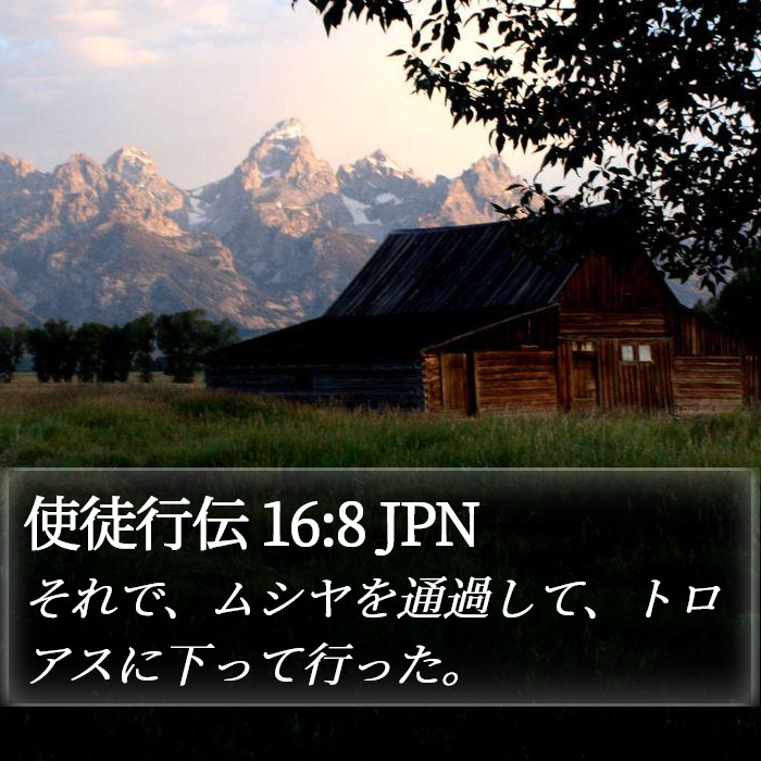 使徒行伝 16:8 JPN Bible Study