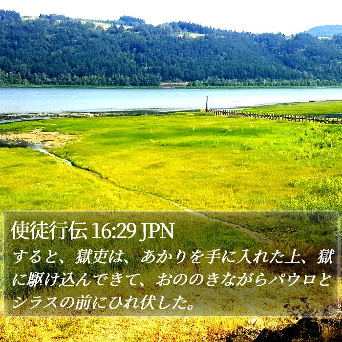 使徒行伝 16:29 JPN Bible Study