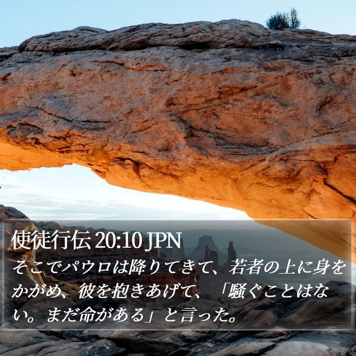 使徒行伝 20:10 JPN Bible Study