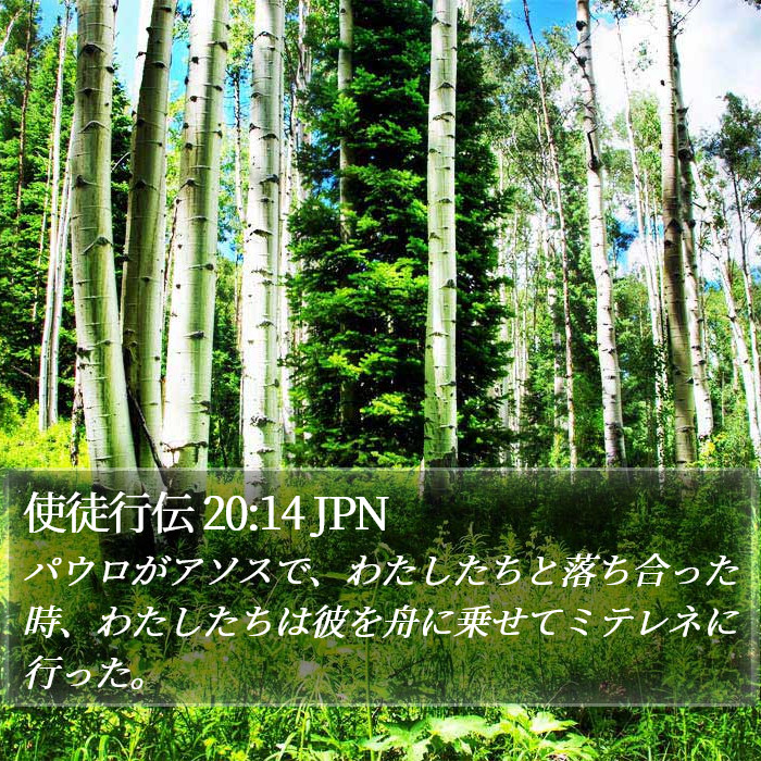 使徒行伝 20:14 JPN Bible Study