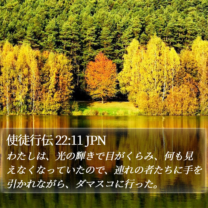 使徒行伝 22:11 JPN Bible Study