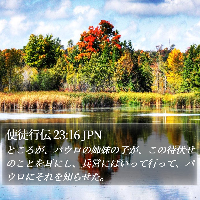 使徒行伝 23:16 JPN Bible Study