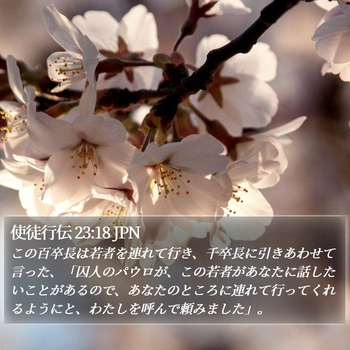 使徒行伝 23:18 JPN Bible Study