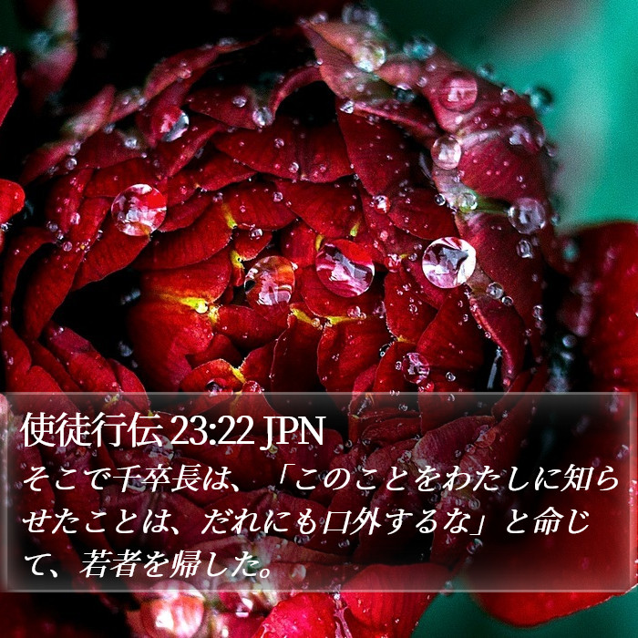 使徒行伝 23:22 JPN Bible Study
