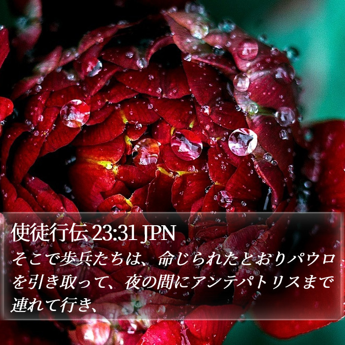 使徒行伝 23:31 JPN Bible Study