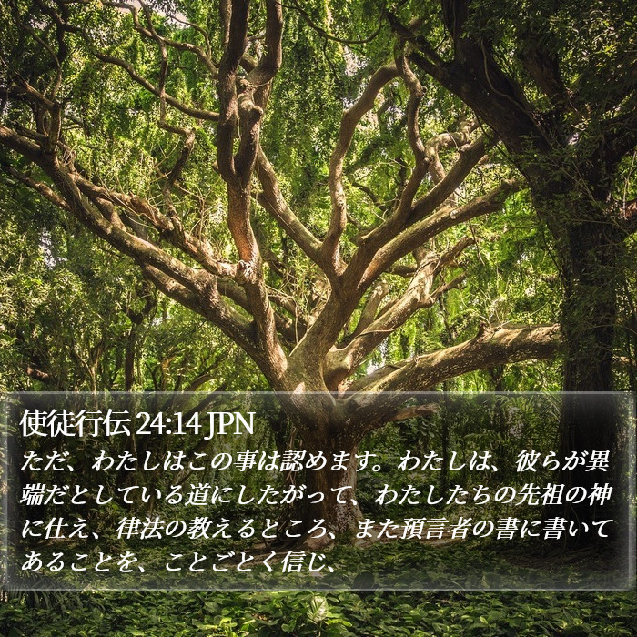 使徒行伝 24:14 JPN Bible Study