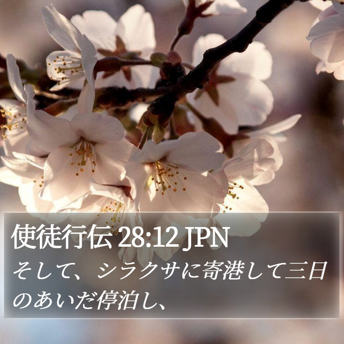 使徒行伝 28:12 JPN Bible Study