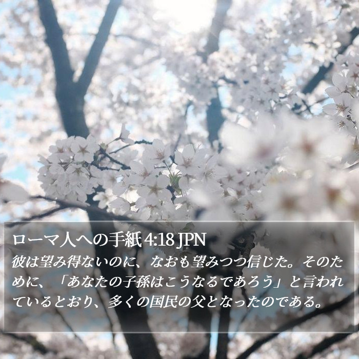 ローマ人への手紙 4:18 JPN Bible Study