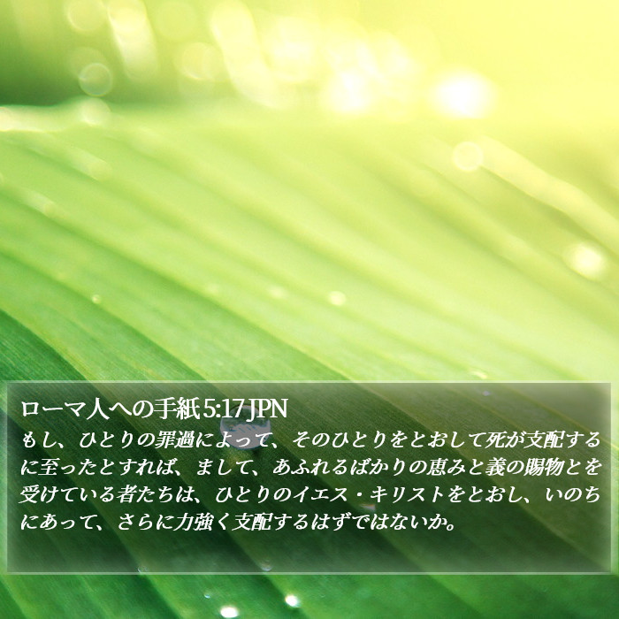 ローマ人への手紙 5:17 JPN Bible Study