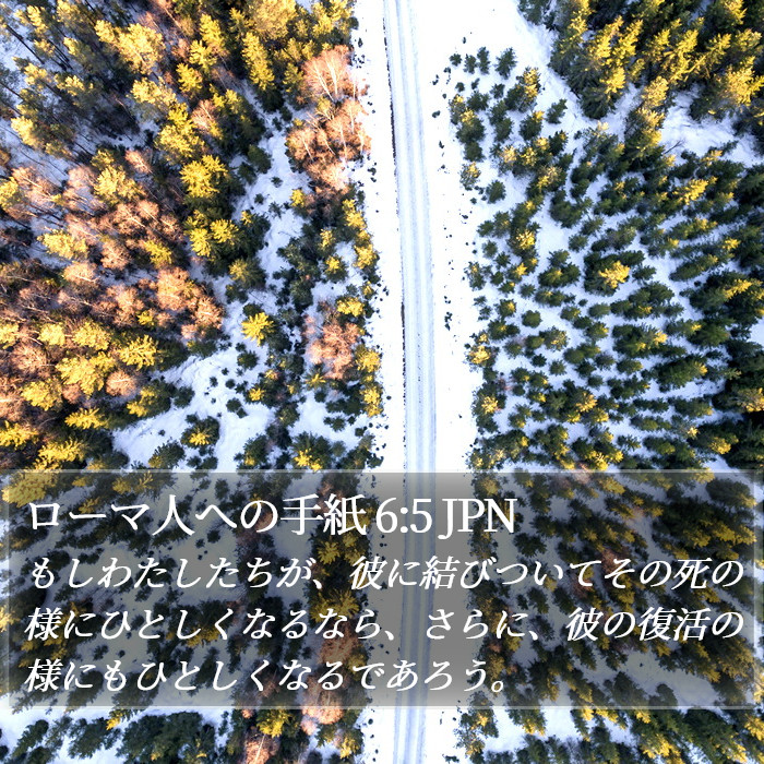 ローマ人への手紙 6:5 JPN Bible Study