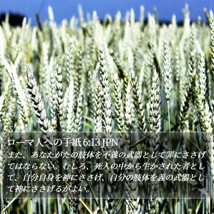 ローマ人への手紙 6:13 JPN Bible Study