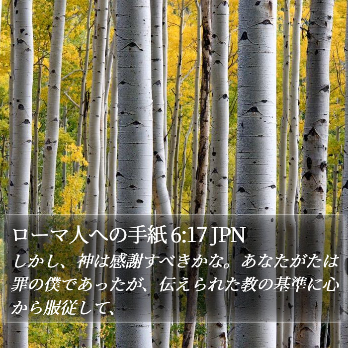 ローマ人への手紙 6:17 JPN Bible Study