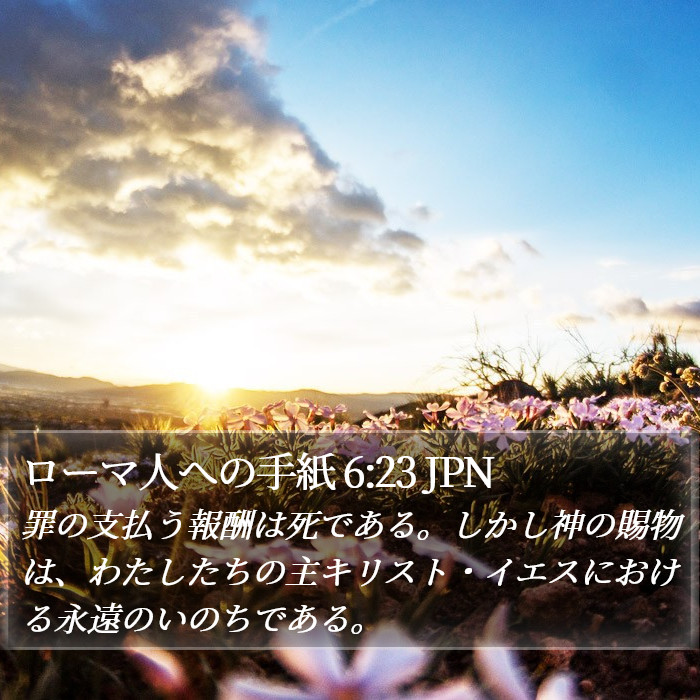 ローマ人への手紙 6:23 JPN Bible Study