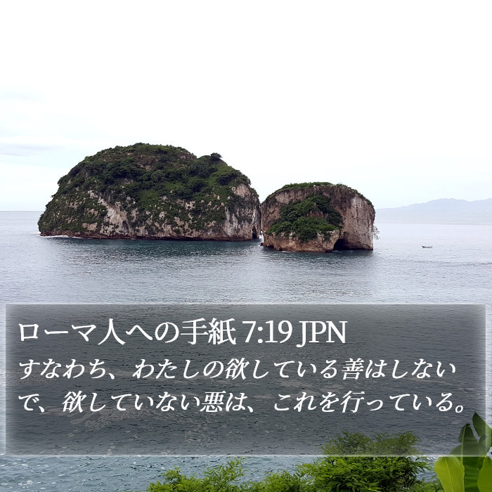 ローマ人への手紙 7:19 JPN Bible Study