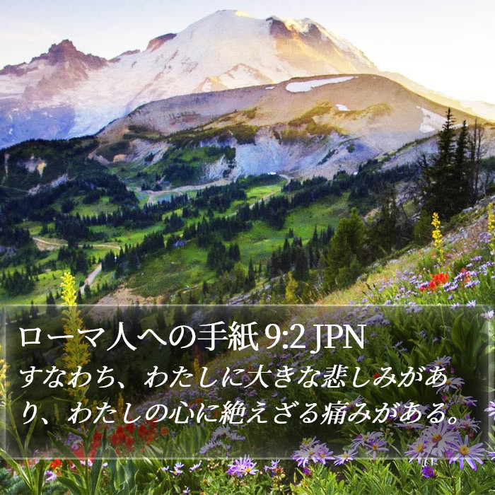 ローマ人への手紙 9:2 JPN Bible Study