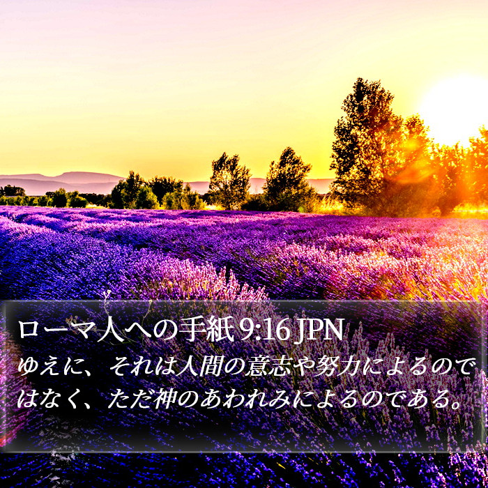 ローマ人への手紙 9:16 JPN Bible Study