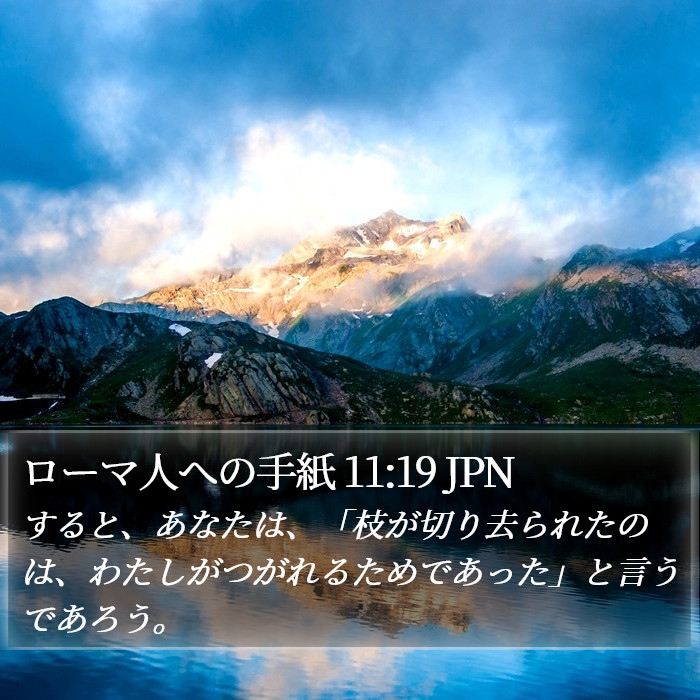 ローマ人への手紙 11:19 JPN Bible Study