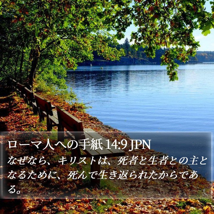 ローマ人への手紙 14:9 JPN Bible Study