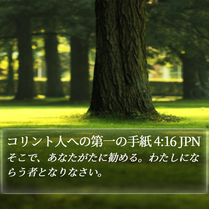 コリント人への第一の手紙 4:16 JPN Bible Study