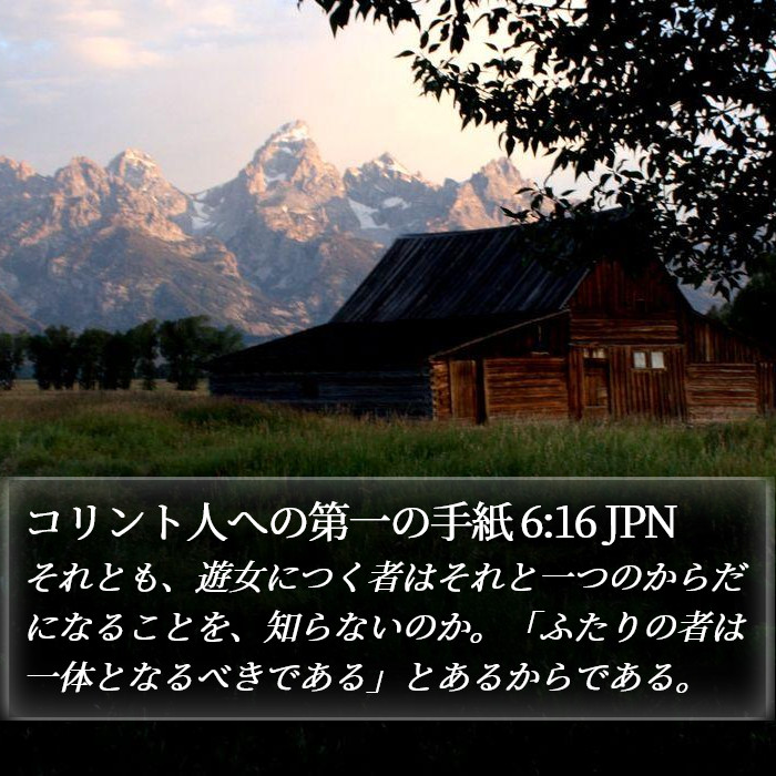 コリント人への第一の手紙 6:16 JPN Bible Study