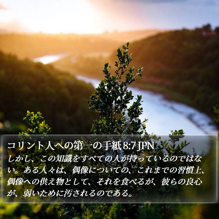 コリント人への第一の手紙 8:7 JPN Bible Study