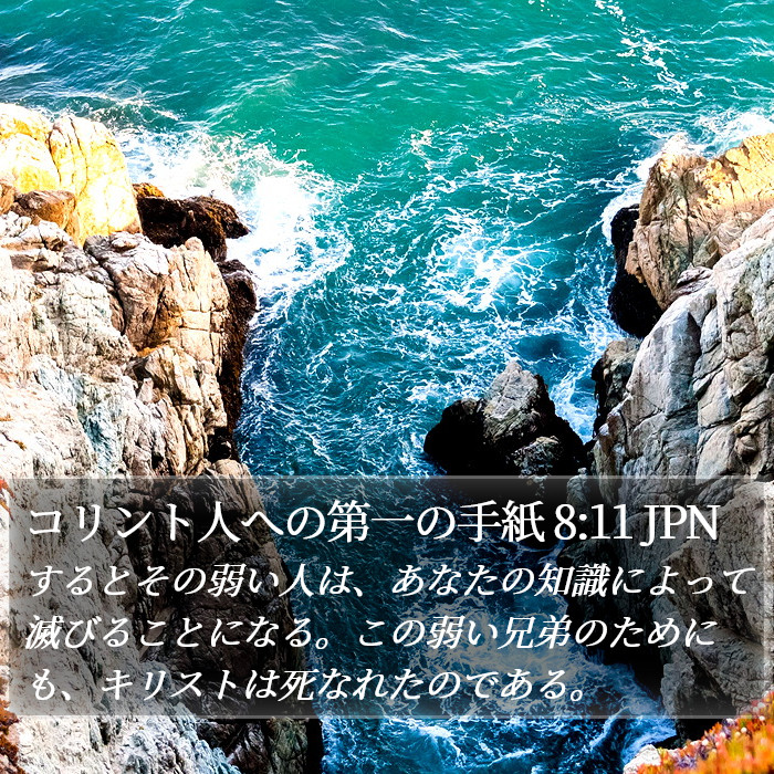 コリント人への第一の手紙 8:11 JPN Bible Study
