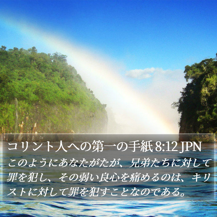 コリント人への第一の手紙 8:12 JPN Bible Study