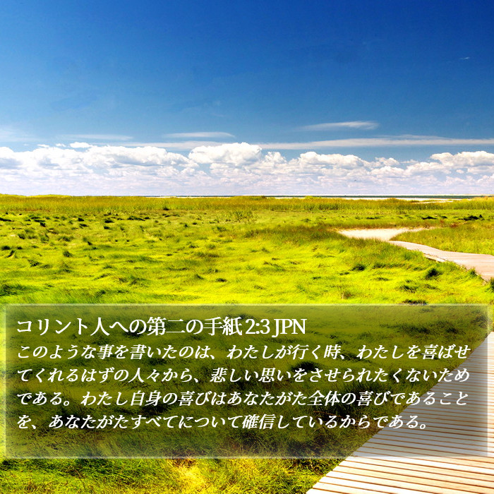 コリント人への第二の手紙 2:3 JPN Bible Study