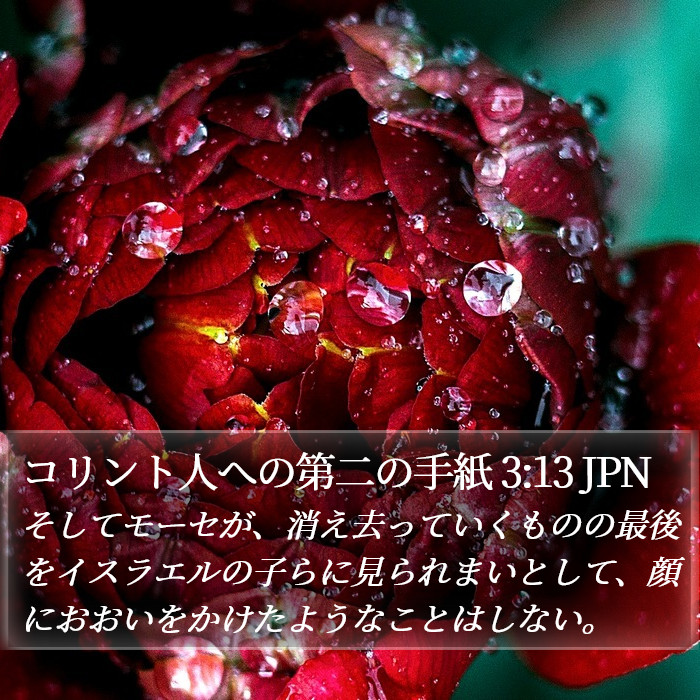 コリント人への第二の手紙 3:13 JPN Bible Study
