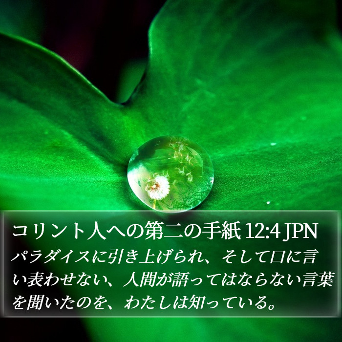 コリント人への第二の手紙 12:4 JPN Bible Study