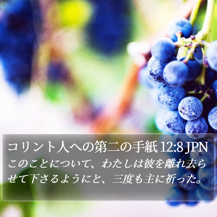 コリント人への第二の手紙 12:8 JPN Bible Study
