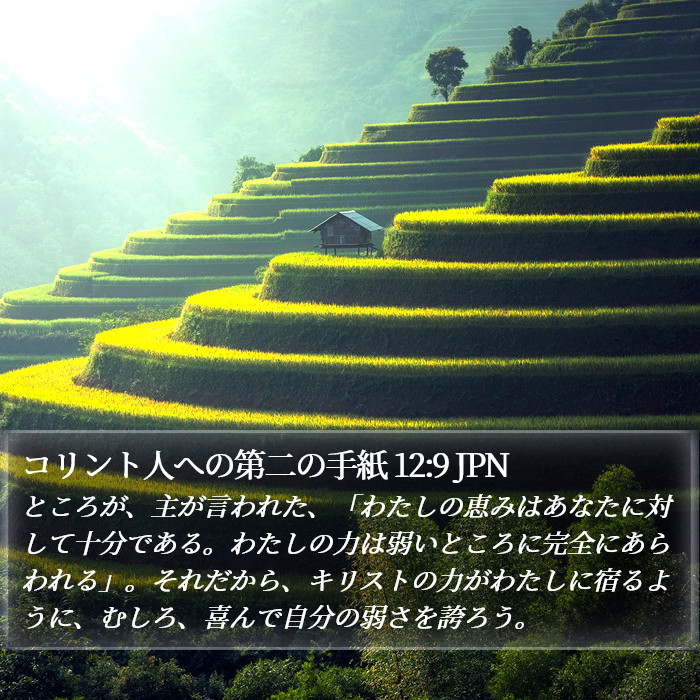 コリント人への第二の手紙 12:9 JPN Bible Study