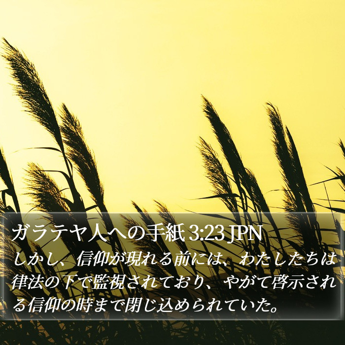 ガラテヤ人への手紙 3:23 JPN Bible Study