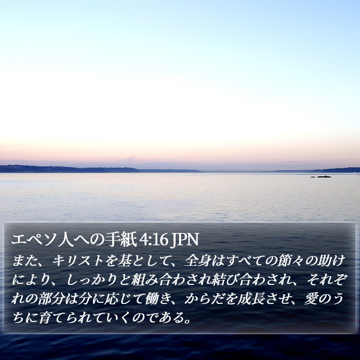 エペソ人への手紙 4:16 JPN Bible Study
