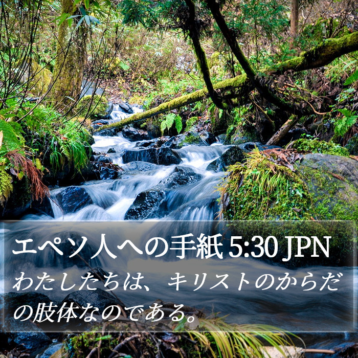 エペソ人への手紙 5:30 JPN Bible Study