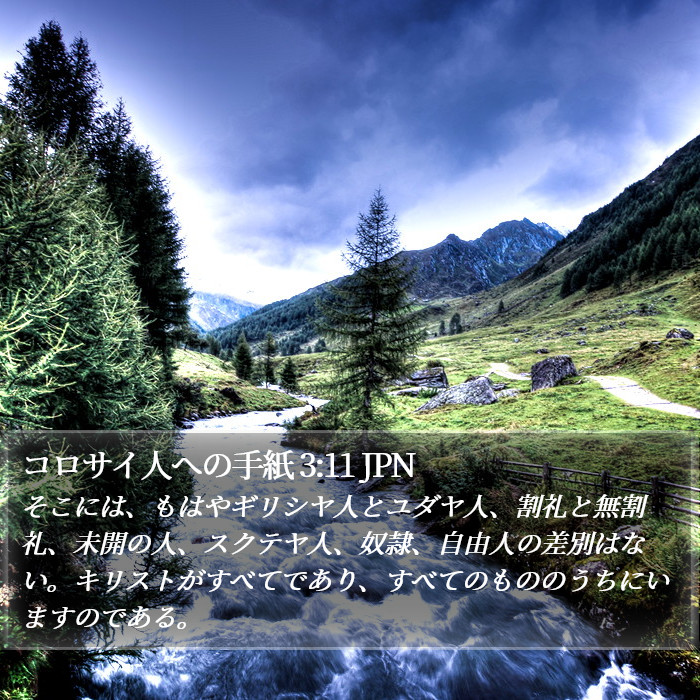 コロサイ人への手紙 3:11 JPN Bible Study