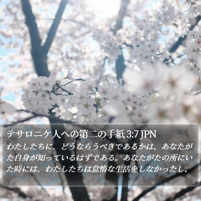 テサロニケ人への第二の手紙 3:7 JPN Bible Study
