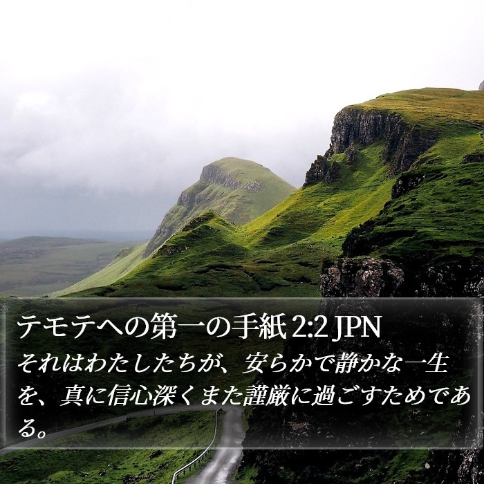 テモテヘの第一の手紙 2:2 JPN Bible Study