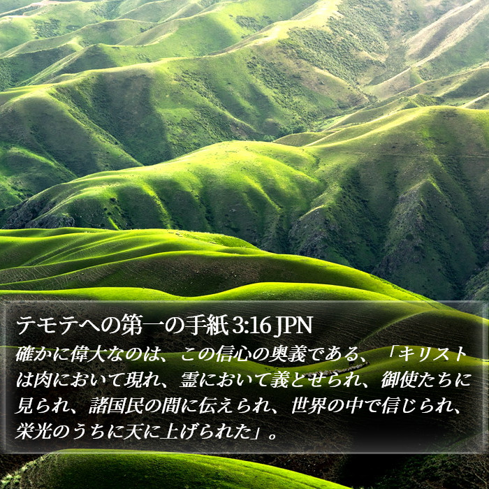 テモテヘの第一の手紙 3:16 JPN Bible Study