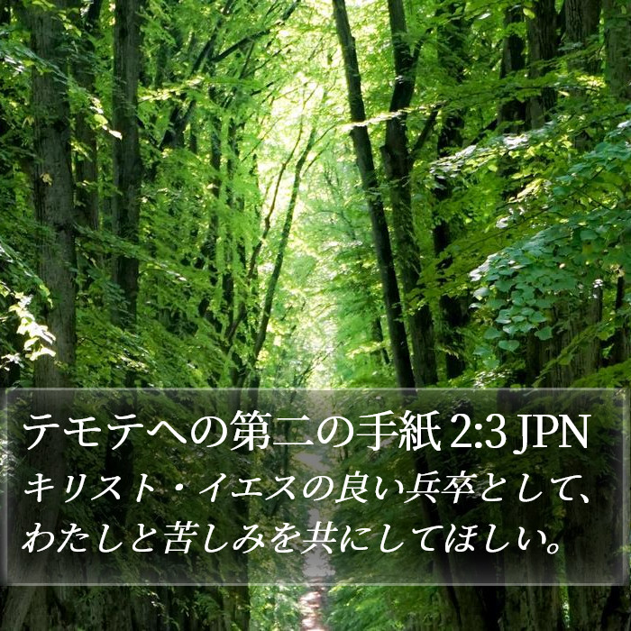 テモテヘの第二の手紙 2:3 JPN Bible Study