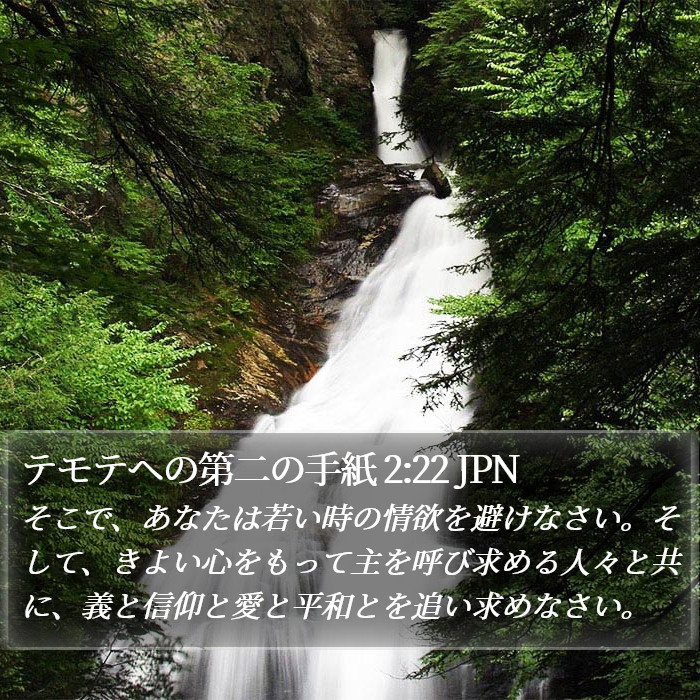 テモテヘの第二の手紙 2:22 JPN Bible Study