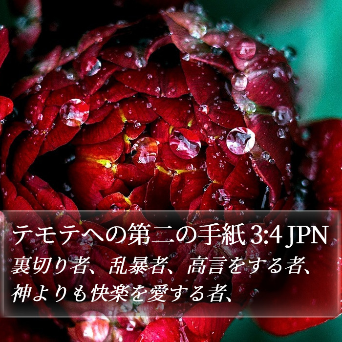テモテヘの第二の手紙 3:4 JPN Bible Study