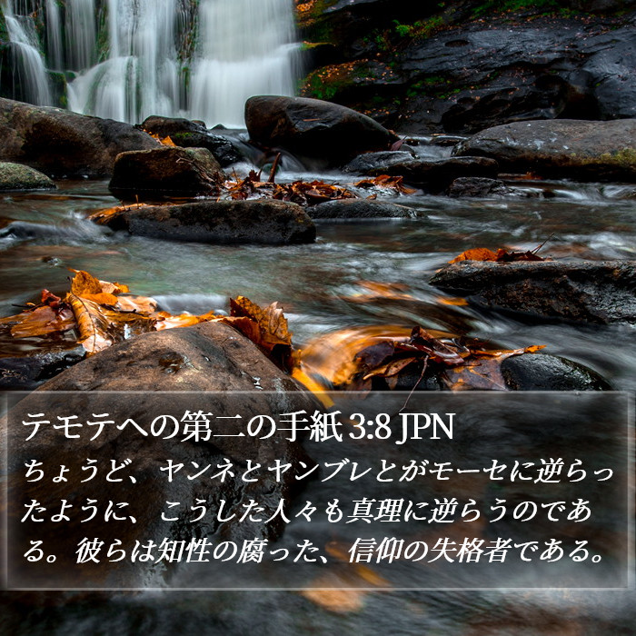テモテヘの第二の手紙 3:8 JPN Bible Study
