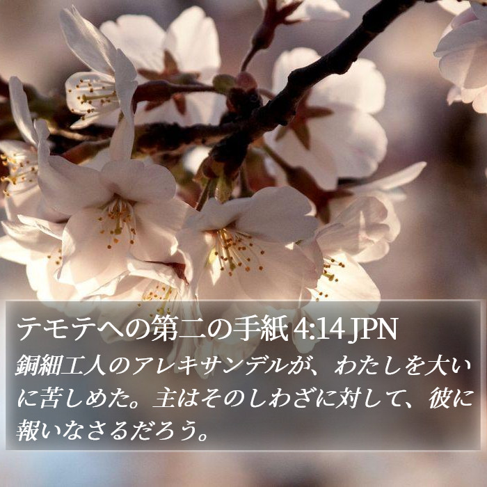 テモテヘの第二の手紙 4:14 JPN Bible Study