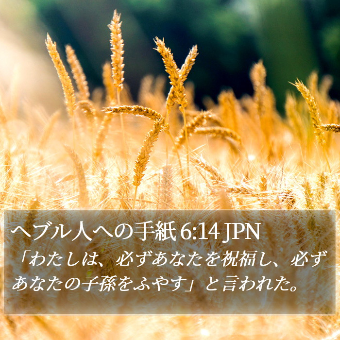 ヘブル人への手紙 6:14 JPN Bible Study