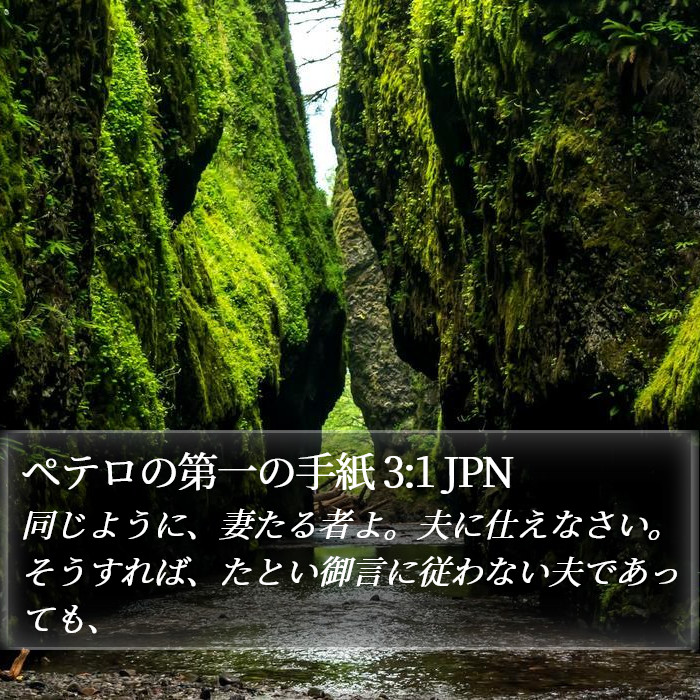 ペテロの第一の手紙 3:1 JPN Bible Study